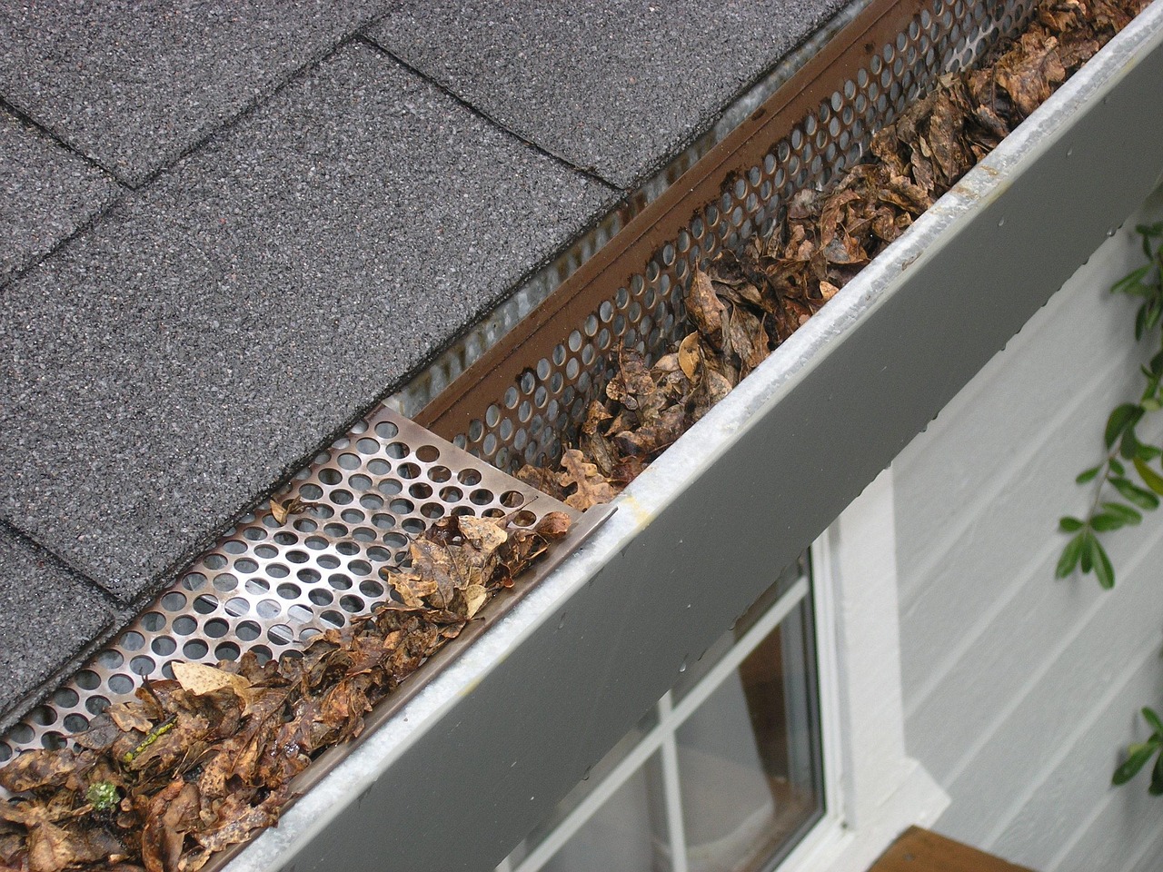 Gutter cleaning service
